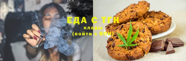 гашик Алексин