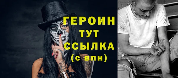 гашик Алексин
