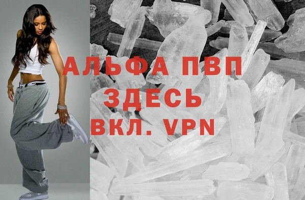 гашик Алексин