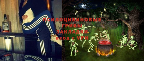 гашик Алексин
