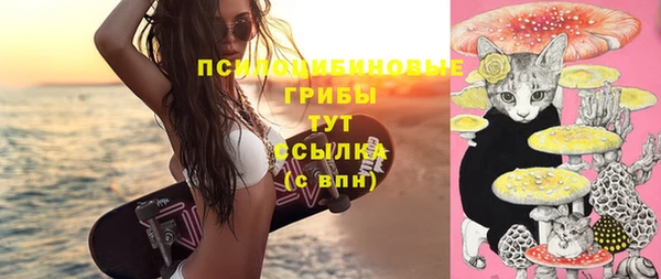 таблы Алзамай
