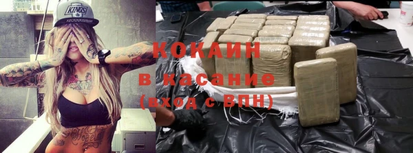 гашик Алексин