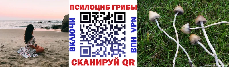 Галлюциногенные грибы Magic Shrooms  Орёл 